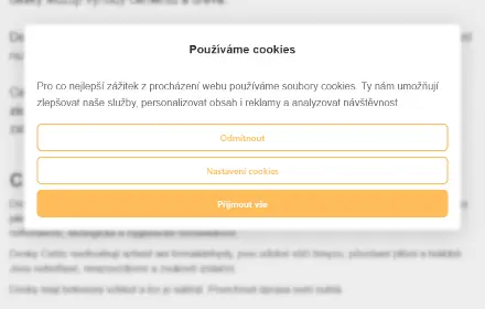 Ukázka vlastní cookies lišty